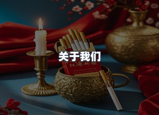 关于我们